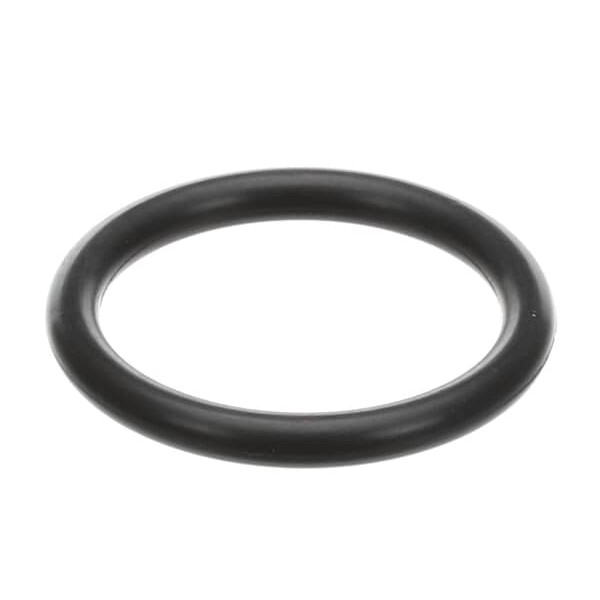 (image for) American Dish Service 289-6611 GASKET, O-RING, WASH FILTER